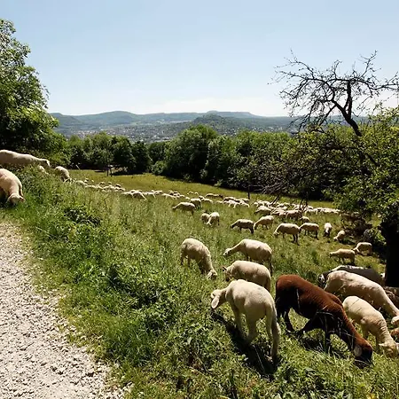 Achalm 4* Reutlingen