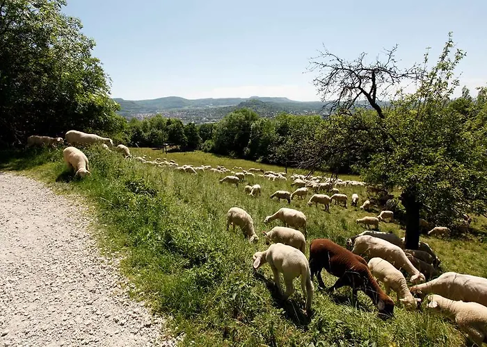 Achalm 4* Reutlingen